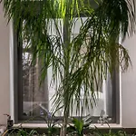 Nostos Luxury Apartament