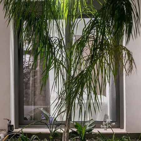 Nostos Luxury Apartamento